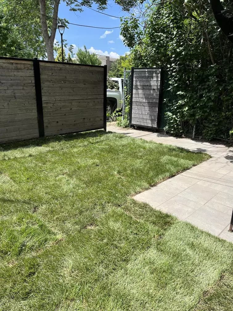 Installation de tourbe professionnelle à Montréal - Gazon de qualité pour un jardin verdoyant